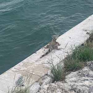 Meet your Posher, Fabian